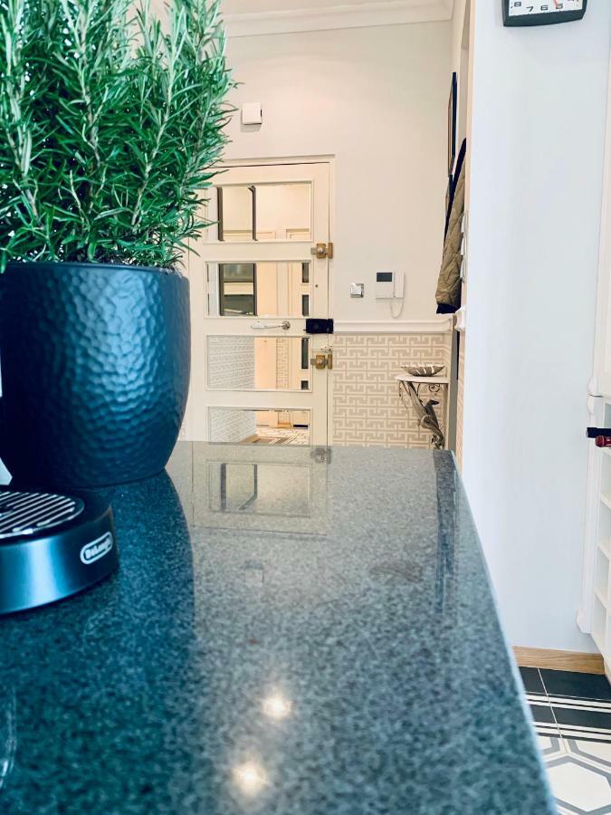 Villa Bagatelle - Luxury Apartment ニース エクステリア 写真